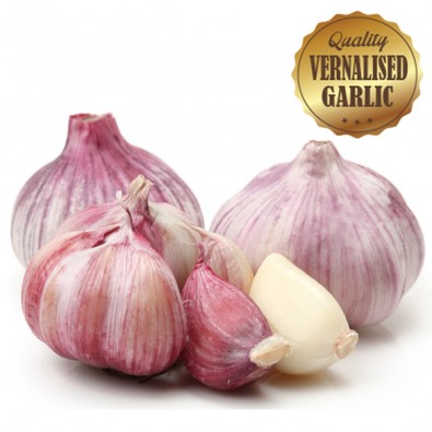 Vernalised Garlic - Australian Red 70mm - 80mm Bulb Diameter - Starting at